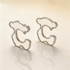 Stainless steel jewelry Earrings wholesale