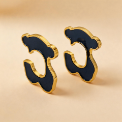 Stainless steel jewelry Earrings wholesale
