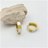 Stainless steel jewelry Earrings wholesale