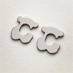 Stainless steel jewelry Earrings wholesale