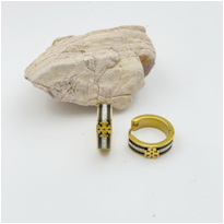 Stainless steel jewelry Earrings wholesale
