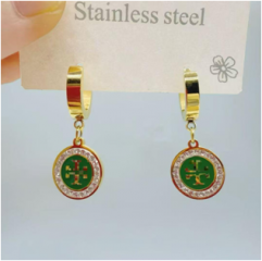 Stainless steel jewelry women earrings wholesale