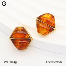 Stainless steel jewelry Earrings wholesale