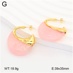 Stainless steel jewelry Earrings wholesale