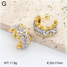Stainless steel jewelry Earrings wholesale