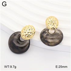 Stainless steel jewelry Earrings wholesale