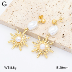 Stainless steel jewelry Earrings wholesale