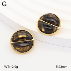 Stainless steel jewelry Earrings wholesale