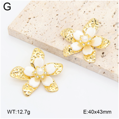 Stainless steel jewelry Earrings wholesale