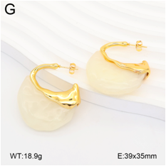 Stainless steel jewelry Earrings wholesale