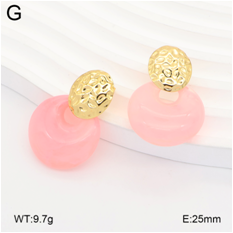 Stainless steel jewelry Earrings wholesale