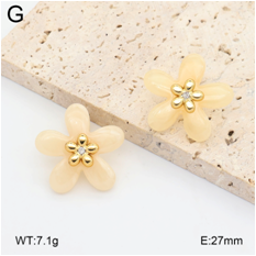 Stainless steel jewelry Earrings wholesale