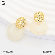 Stainless steel jewelry Earrings wholesale