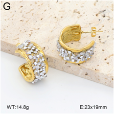 Stainless steel jewelry Earrings wholesale