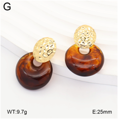 Stainless steel jewelry Earrings wholesale