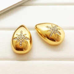Stainless steel jewelry Earrings wholesale