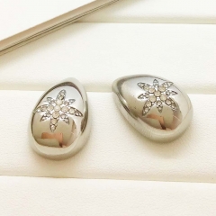 Stainless steel jewelry Earrings wholesale