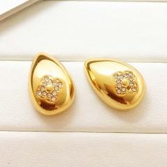 Stainless steel jewelry Earrings wholesale
