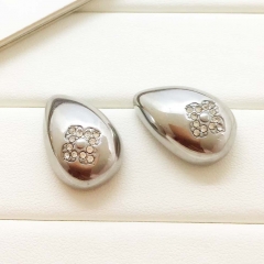Stainless steel jewelry Earrings wholesale