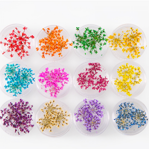 NDF-03 12 Colors 3D Decoration Real Dry Dried Flower for Gel Nail Art Tips