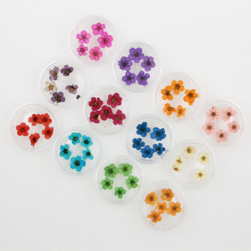 NDF-02 12 Color 3d Nail Art Decoration Real Dry Dried Flower For Uv Gel Acrylic