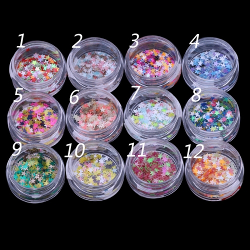 PGP-74 12 Colors Star Shape Nail Art Acrylic Glitter Sequins Powder Set supplies Decoration
