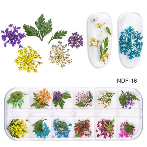 NDF-16 Dried Flowers Leaf Decoration Natural Floral Sticker 3D Dry Nail Art