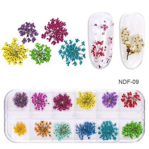 NDF-09 Real Dry Dried Flowers Nail Art Tips Stickers Manicure Decoration