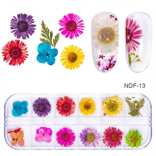 NDF-13 12 Patterns 3D Dry Flowers Stickers Dried Nail Art Decoration DIY Manicure Tools