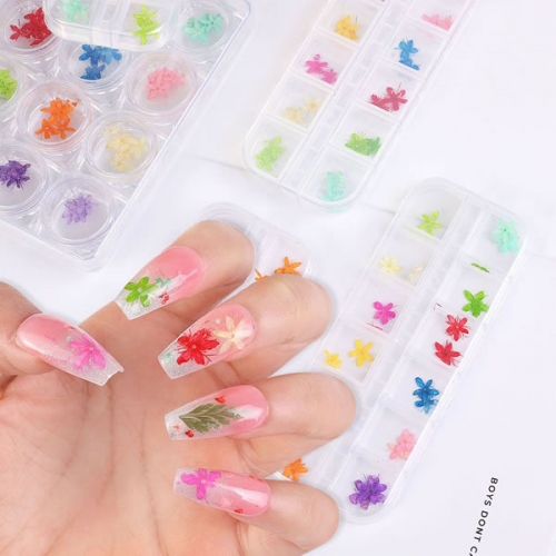 NDF-25/26/27 24pcs/48pcs New colorful nail art dry flowers