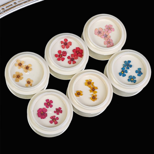 NDF-33 Colorful dry flowers nail art