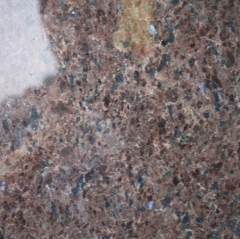 Labrador Antique Brown Granite Tiles Losas encimeras