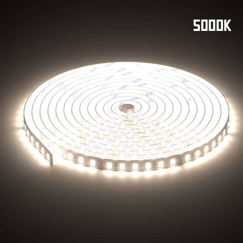 ML-ST2835-120LED-24V-10W-6C