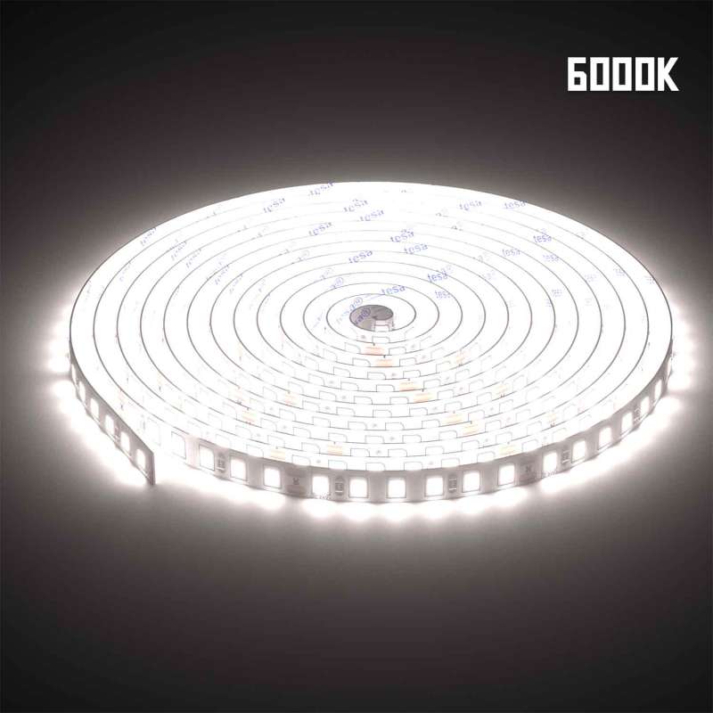 ML-ST2835-120LED-24V-10W-6C