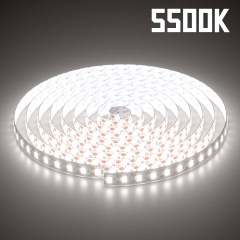 ML-ST2835-120LED-24V-10W-1C