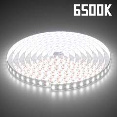 ML-ST2835-120LED-24V-10W-1C