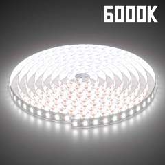 ML-ST2835-120LED-24V-10W-1C