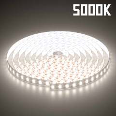 ML-ST2835-120LED-24V-10W-1C