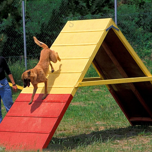 dog walk ramp