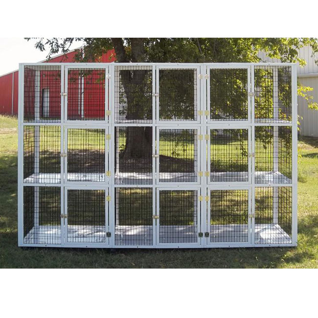 dog crate for 2 large dogs