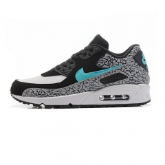 (Women) Nike Air Max 90 Atmos Elephant