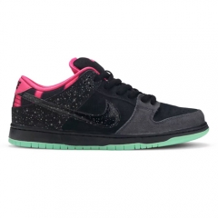 Authentic Premier X Nike SB Dunk Low Premium AE QS Northern Lights