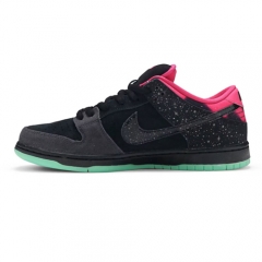 Authentic Premier X Nike SB Dunk Low Premium AE QS Northern Lights