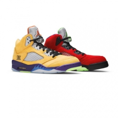 Authentic Air Jordan 5 Retro SE What The