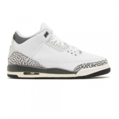 Authentic Air Jordan 3 Hide N Sneak