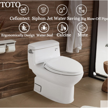 ✳︎toto✳︎ MS974224_01_2000_2000.webp