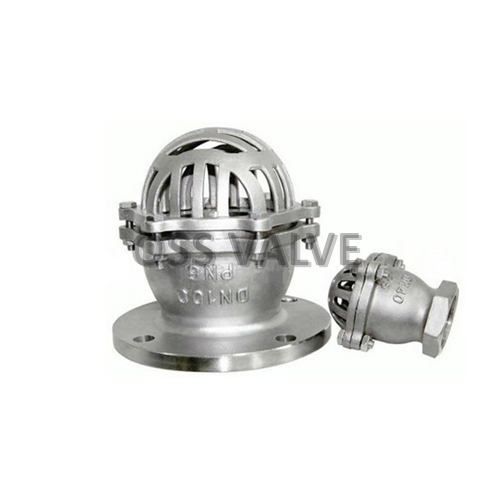 Foot Valve