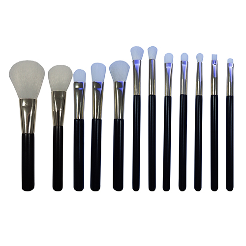 professional 11 pieces makeup brushes set