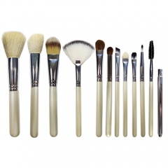 professional 12 pieces makeup brush set