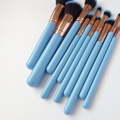 Face Makeup Brushes Set,Soft Synthetic Bristles Wooden Handle, for Face Powder Foundation Contour Eyeshadow (10 Pieces)